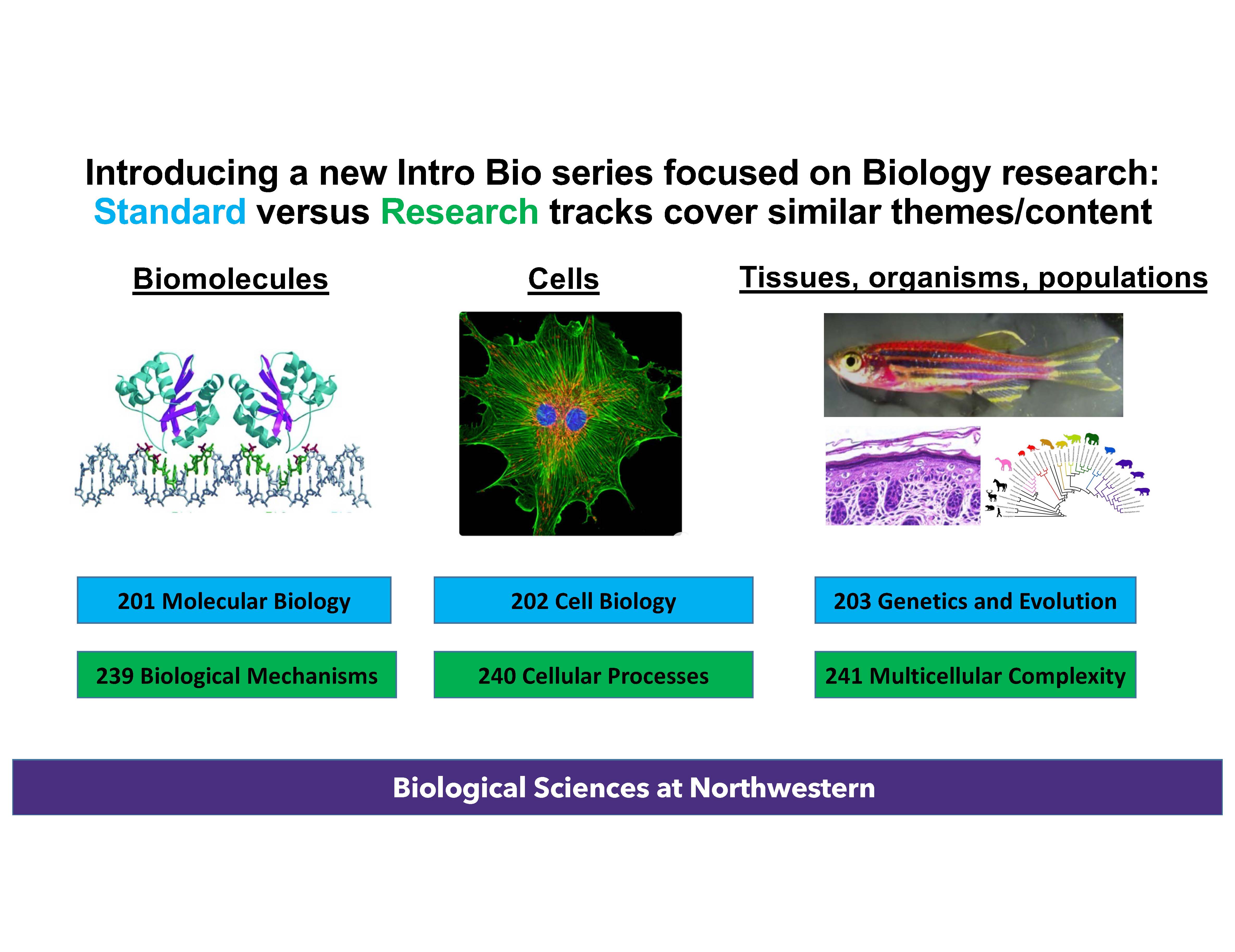 Research Track vs. Standard Track